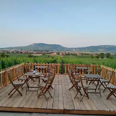 Penzion A Vinarstvi Lelikovi *