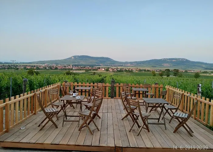 Gasthof A Vinarstvi Lelikovi *